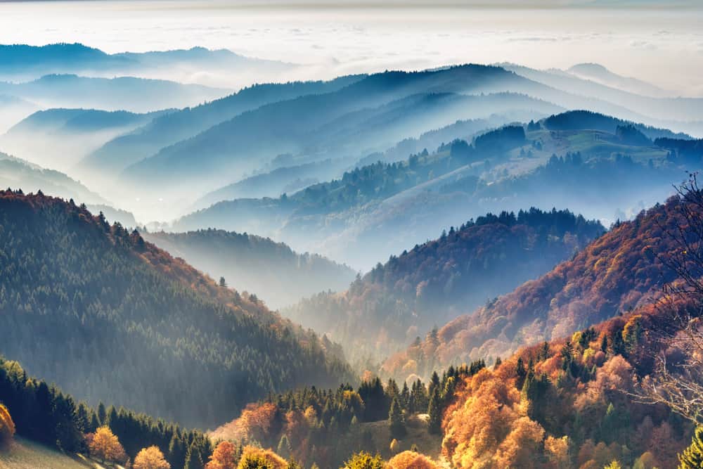 Black Forest