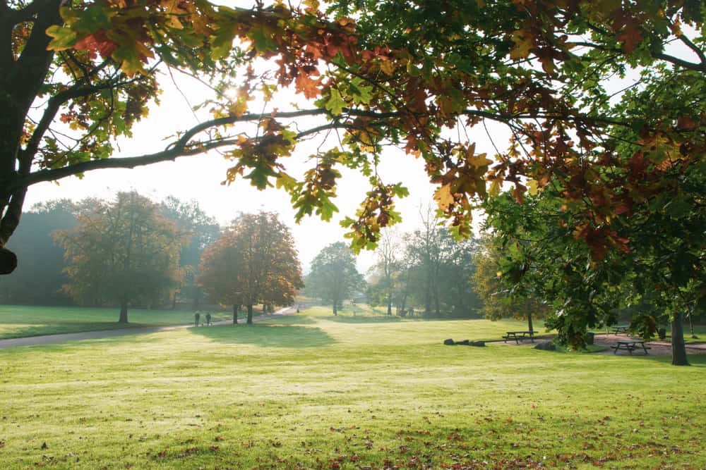Heaton Park