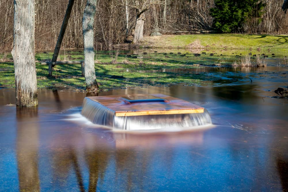 Witch’s Well, Tuhala