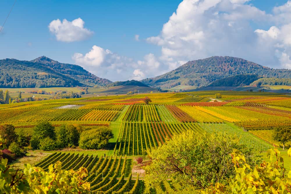 Rhineland