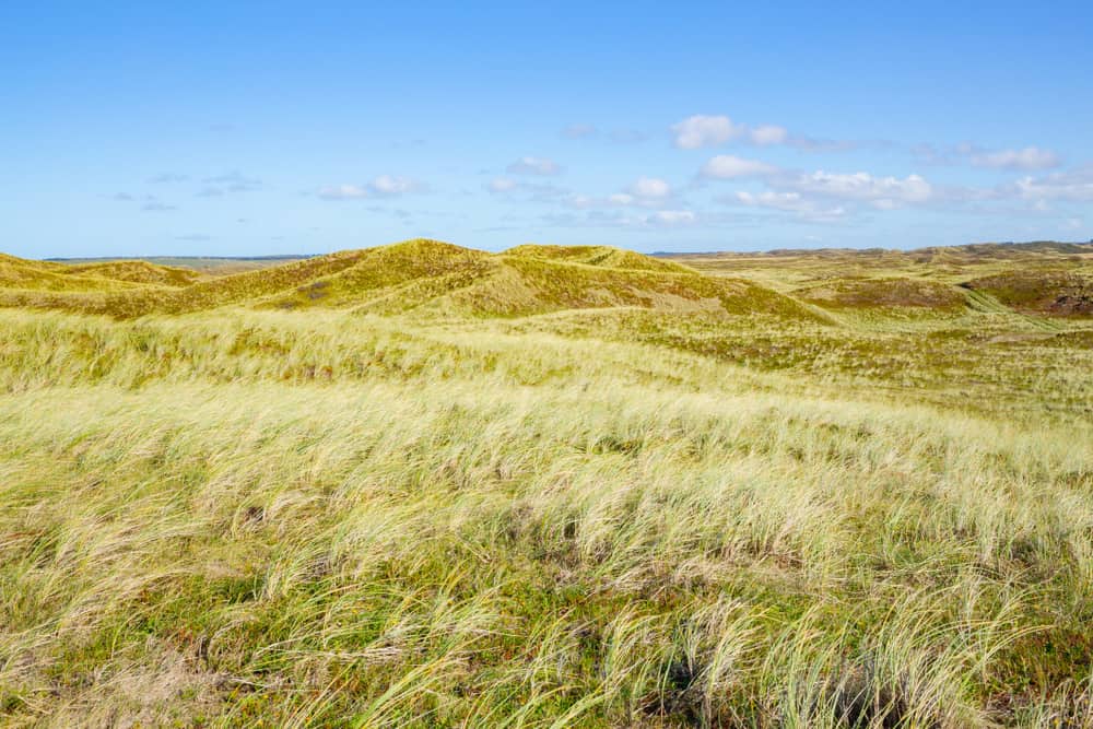 Thy National Park
