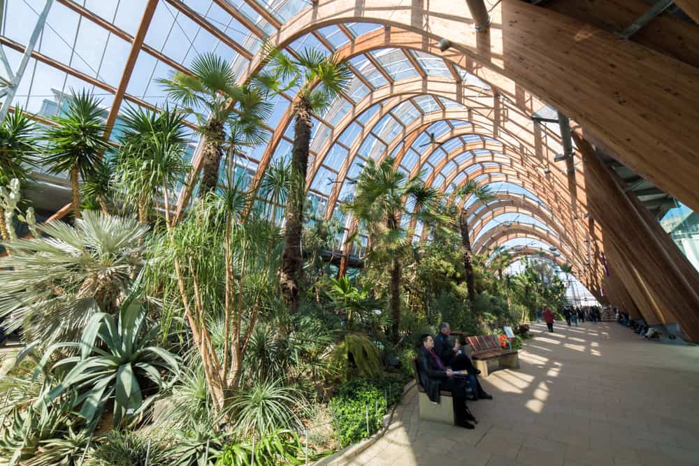 Sheffield Winter Garden