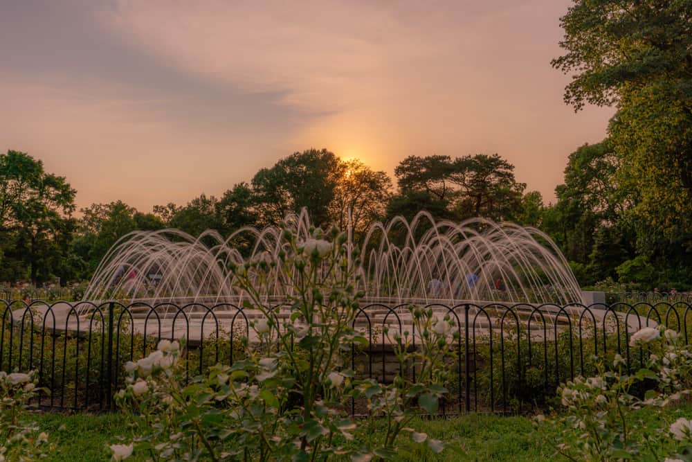 Whetstone Park of Roses