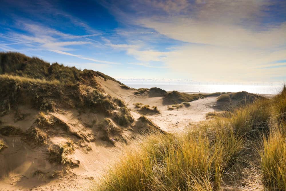 Formby Coast and Nature Reserve