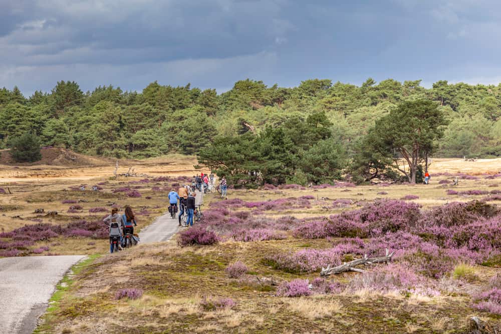 De Hoge Veluwe National Park
