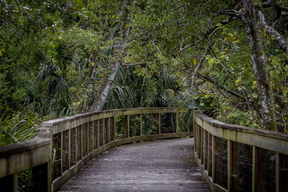 Tree Hill Nature Center