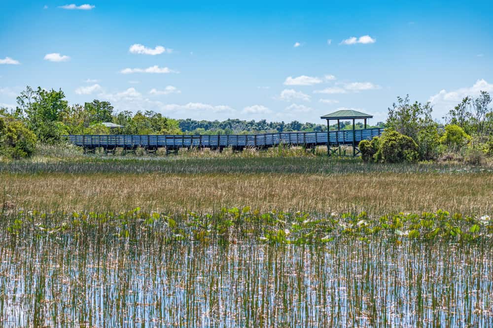 Chapel Trail Nature Preserve