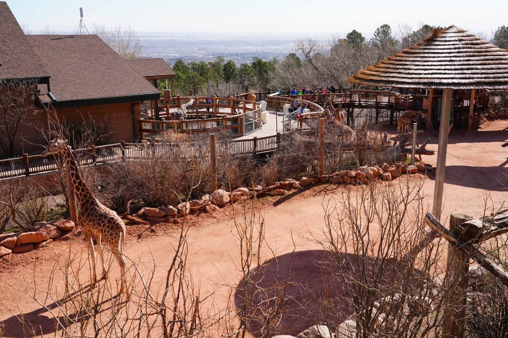 Cheyenne Mountain Zoo
