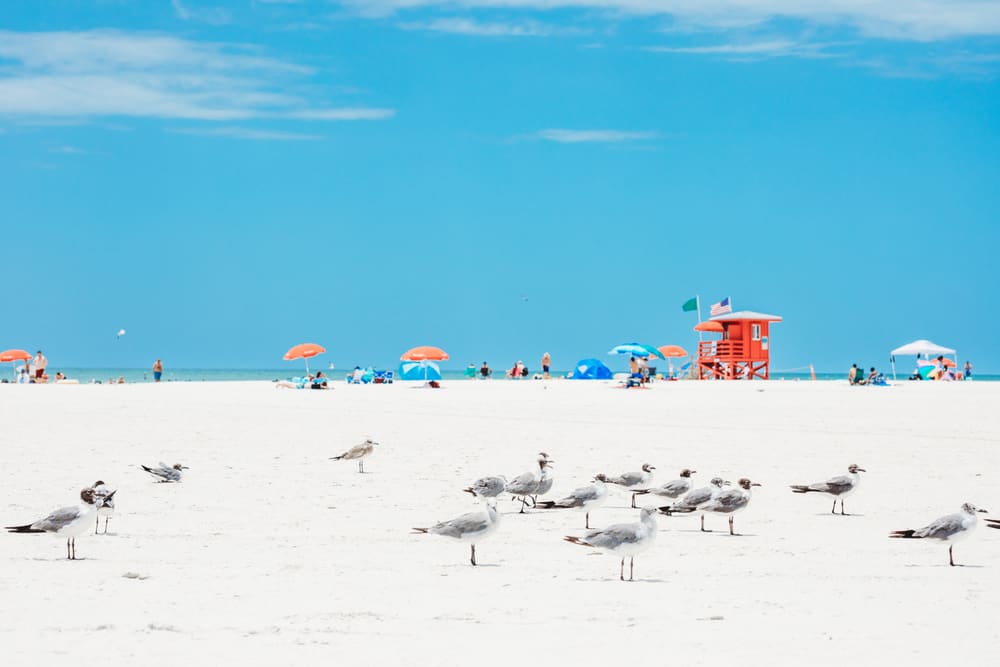 Siesta Key Beach