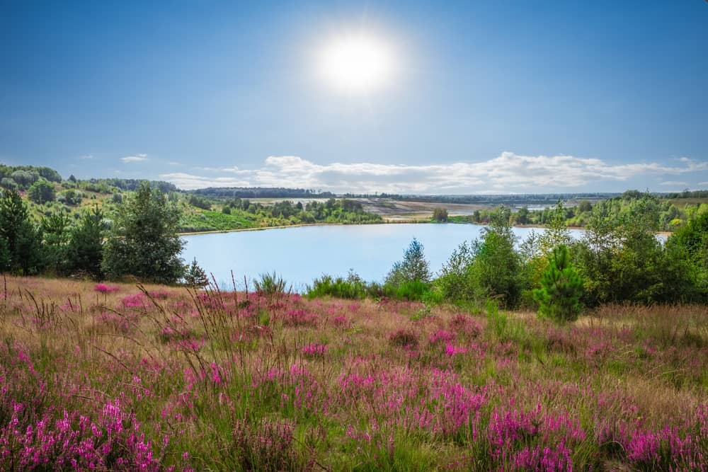 Hoge Kempen National Park