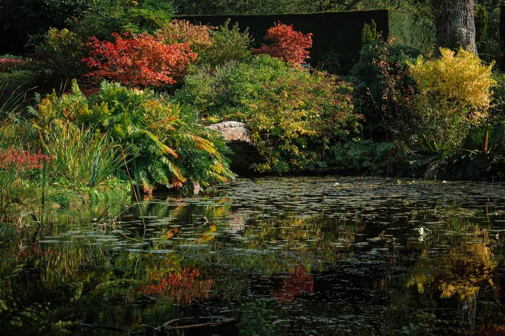 Ness Botanic Gardens