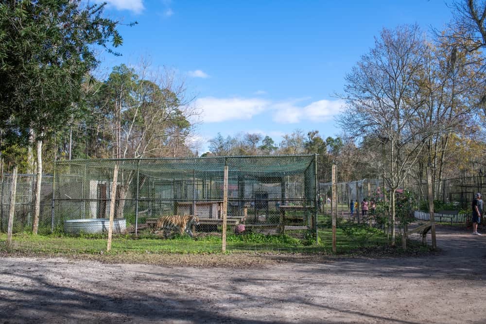 Catty Shack Ranch Wildlife Sanctuary