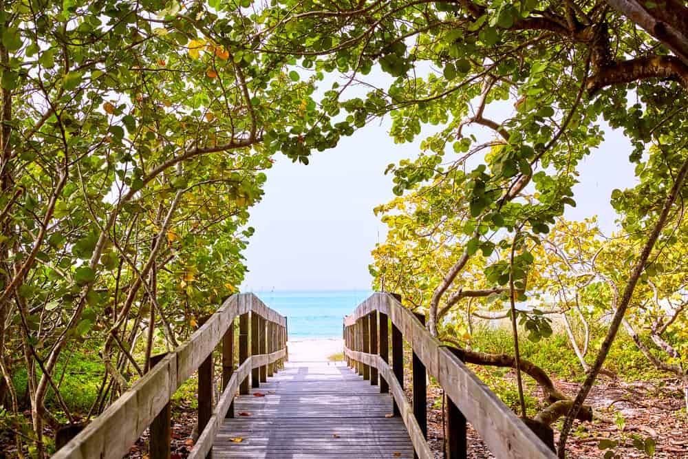 Barefoot Beach
