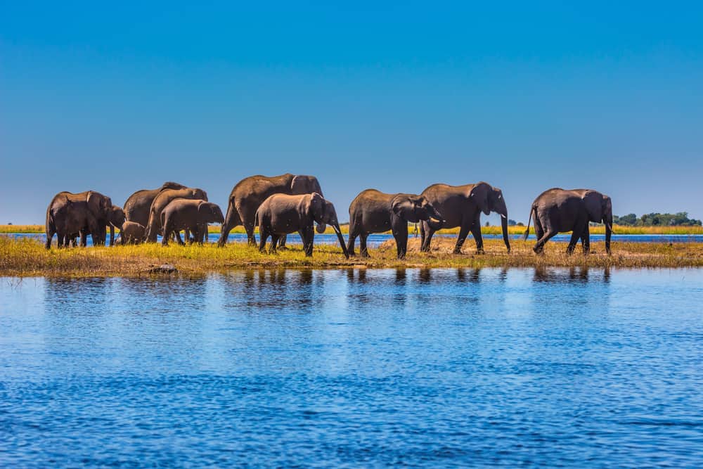 Chobe National Park