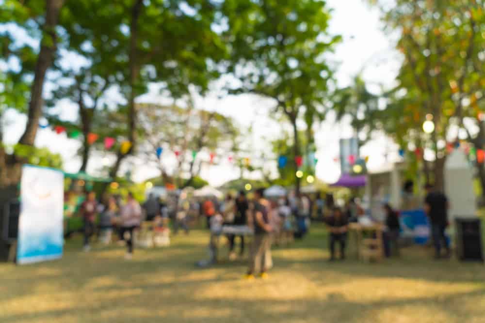 Festival in the Park