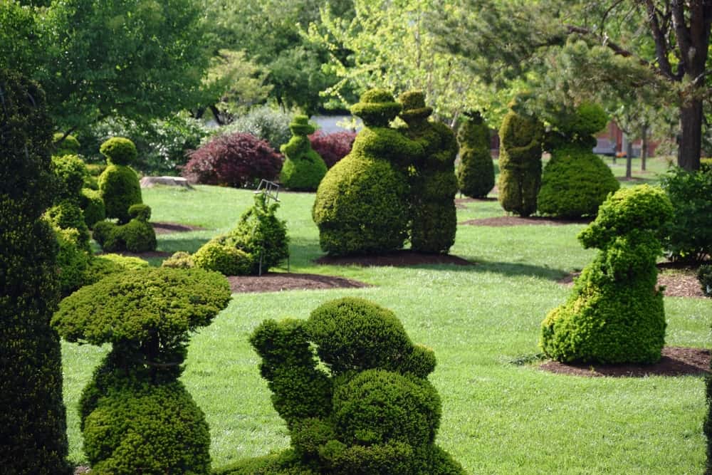 Topiary Park