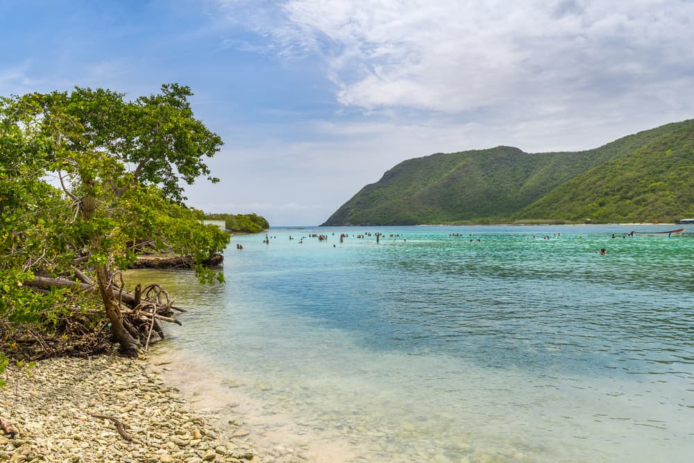 Henri Pittier National Park