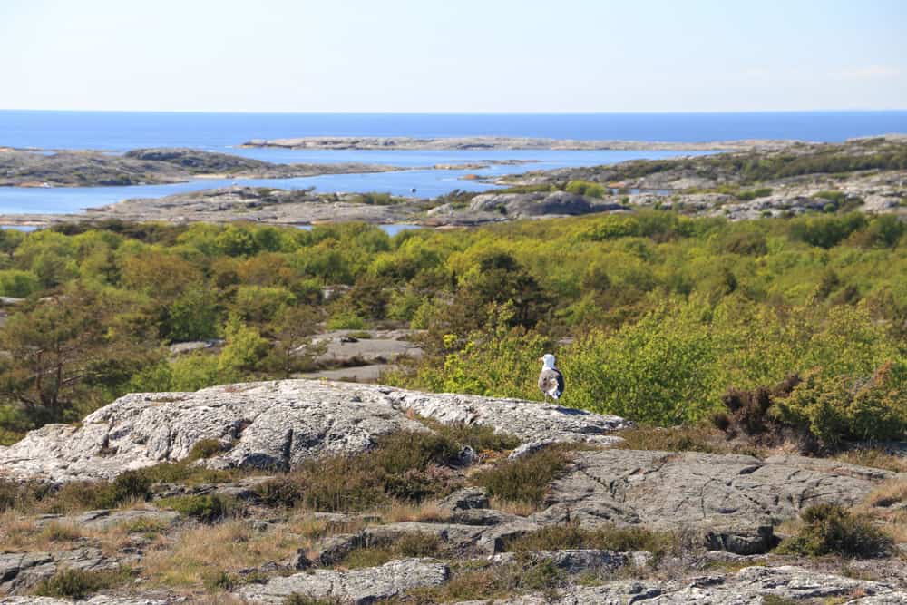 Kosterhavet