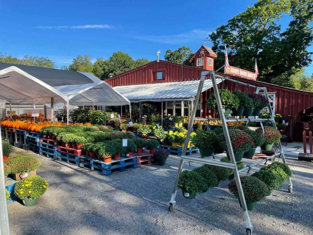 Johnson's Roadside Farm Market