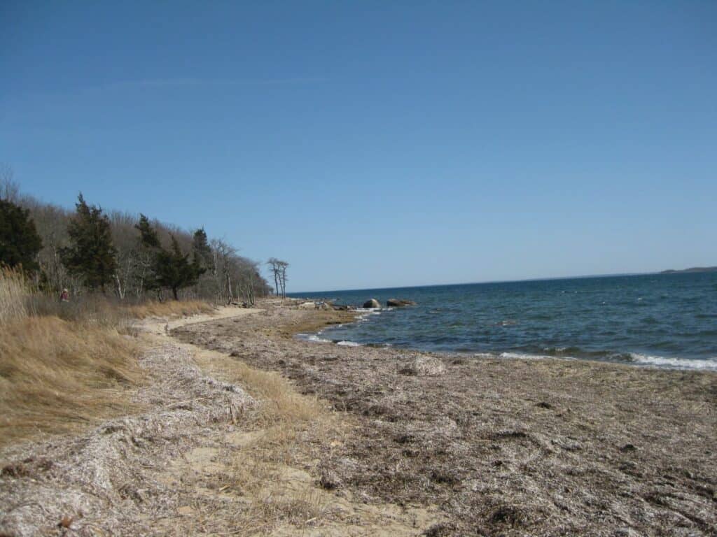 Nasketucket Bay State Reservation