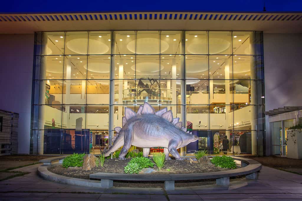 EcoTarium