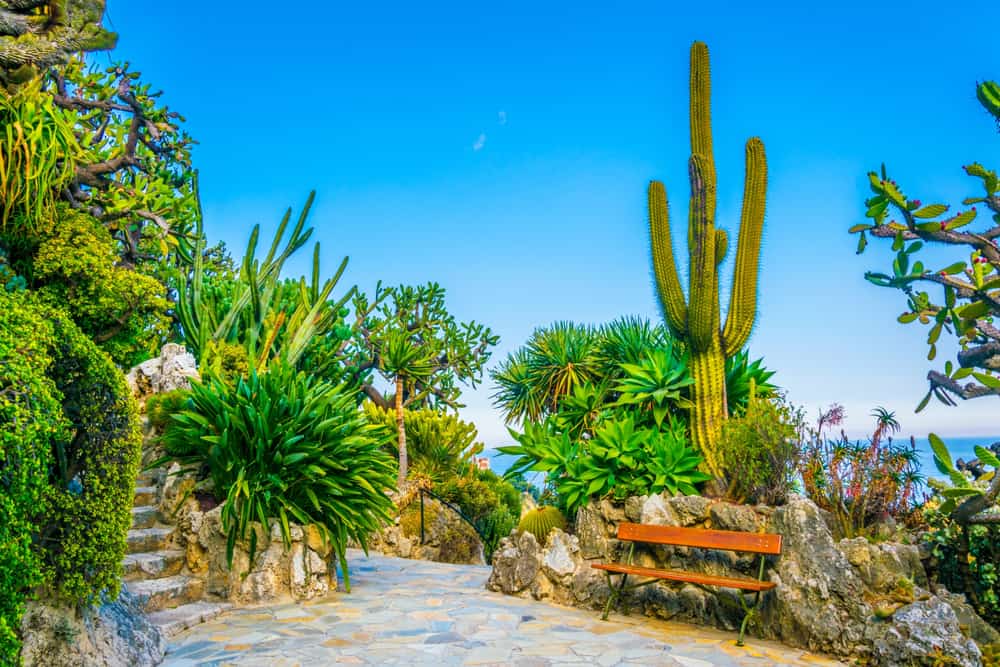 Jardin Exotique