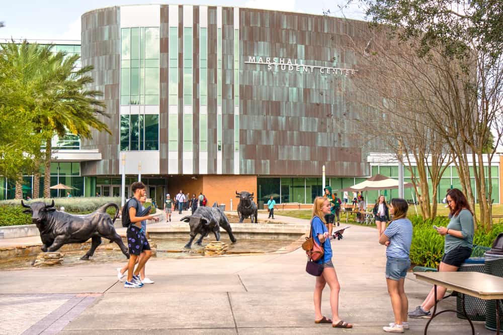 University of South Florida Tampa campus