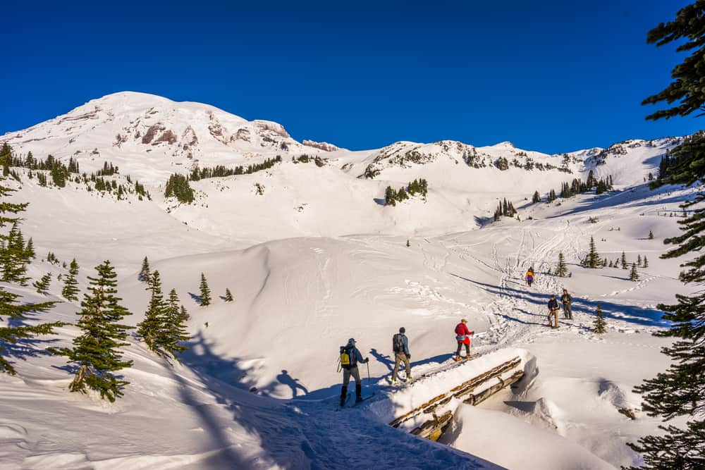 Snowshoeing at Mount Rainier