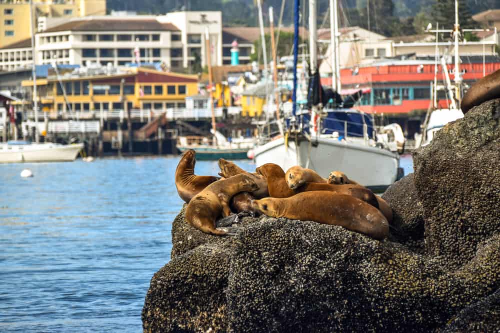 Monterey, California
