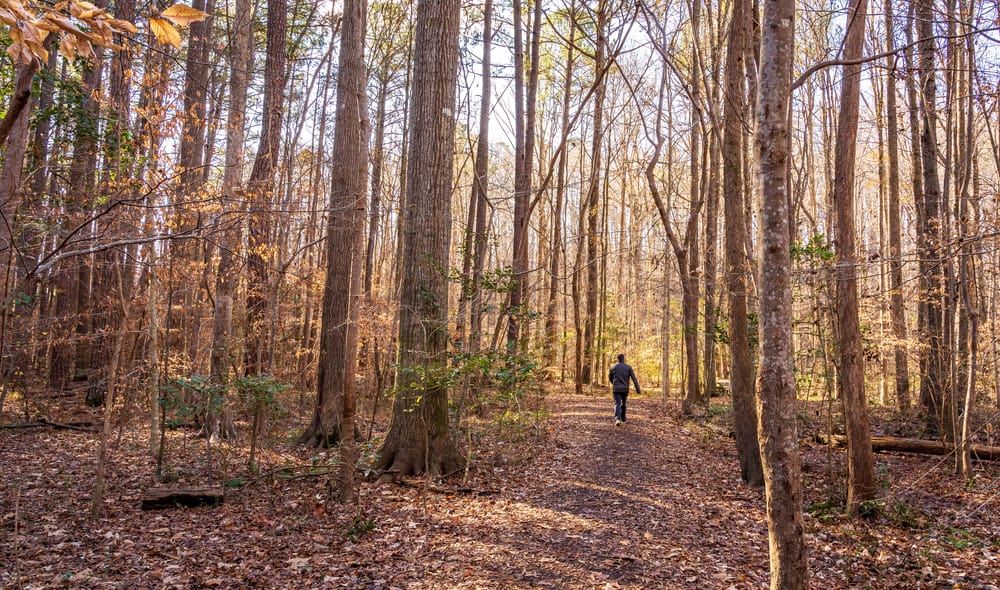 Hemlock Bluffs Nature Preserve