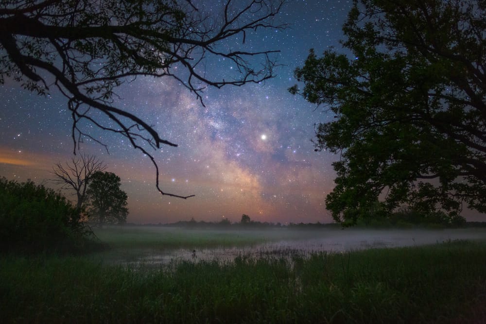 National Park Pripyatsky
