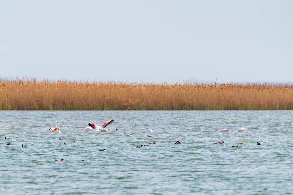 Shirvan National Park