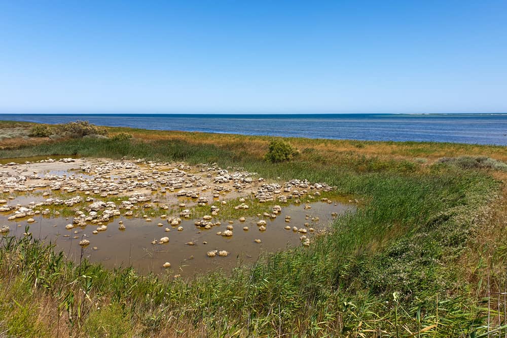 Absheron National Park