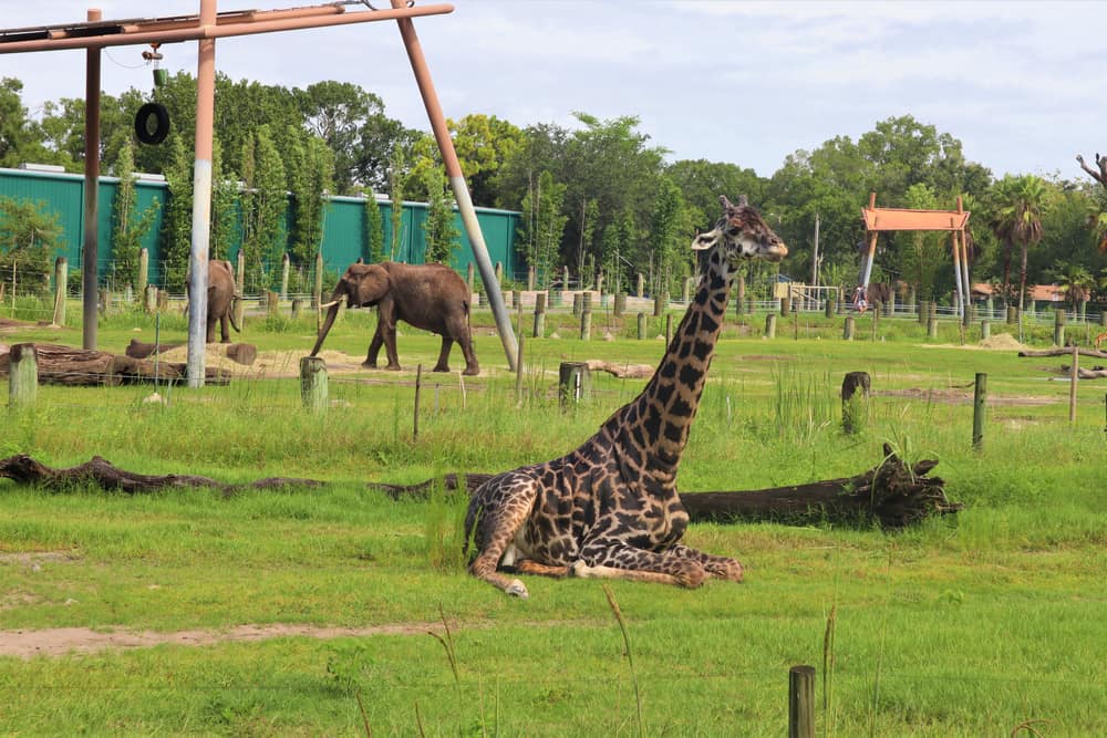 ZooTampa at Lowry Park