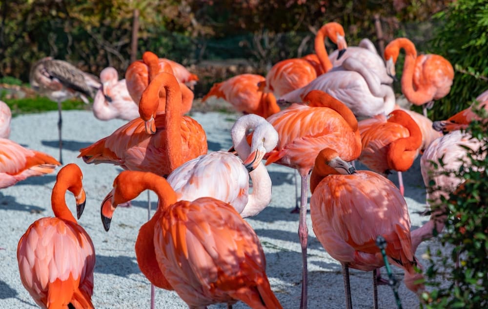 Ostrava Zoo