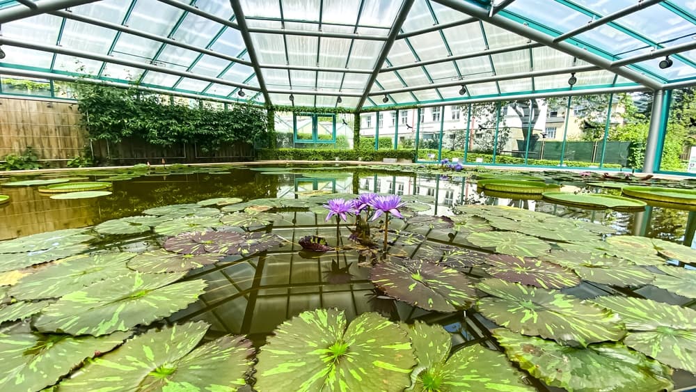 Liberec Botanical Gardens