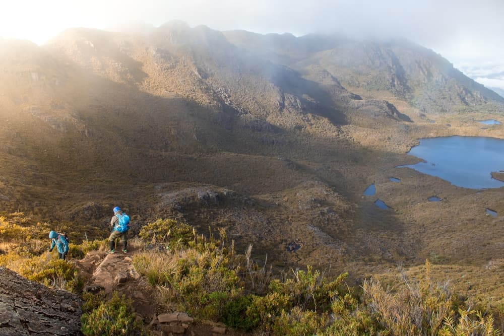 Chirripó National Park