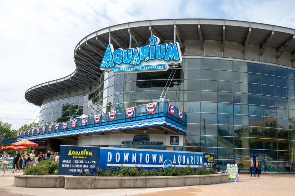 Denver Downtown Aquarium