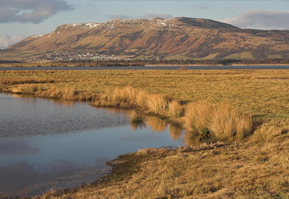 Lomond Hills