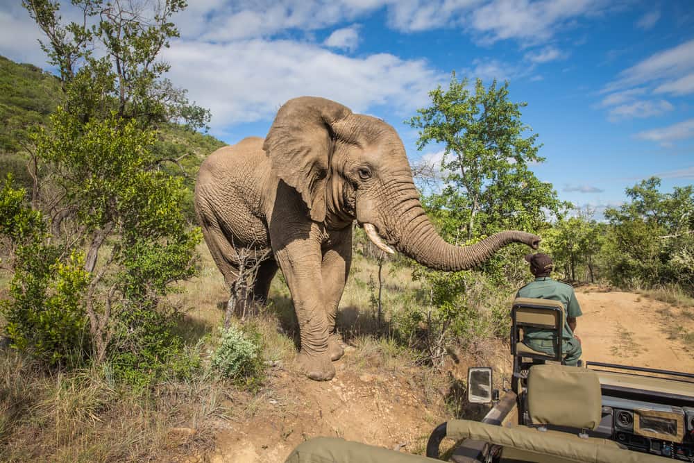 Kruger National Park