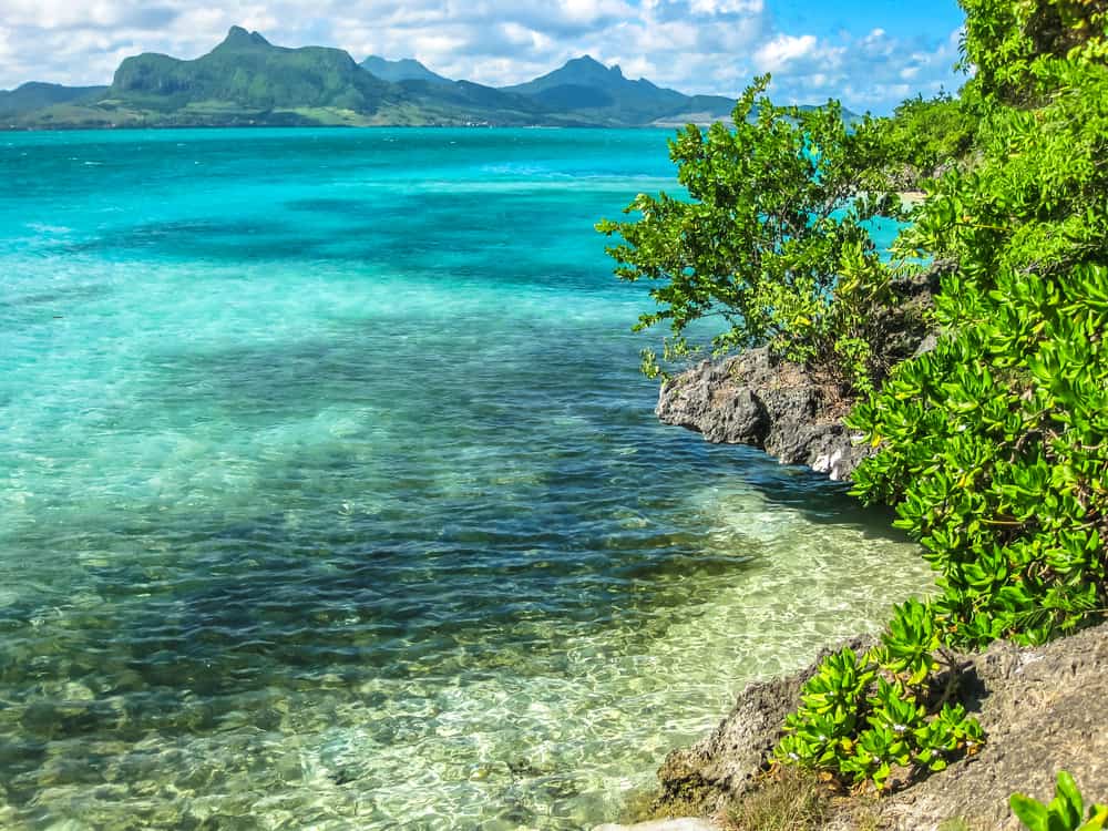 Ile aux Aigrettes
