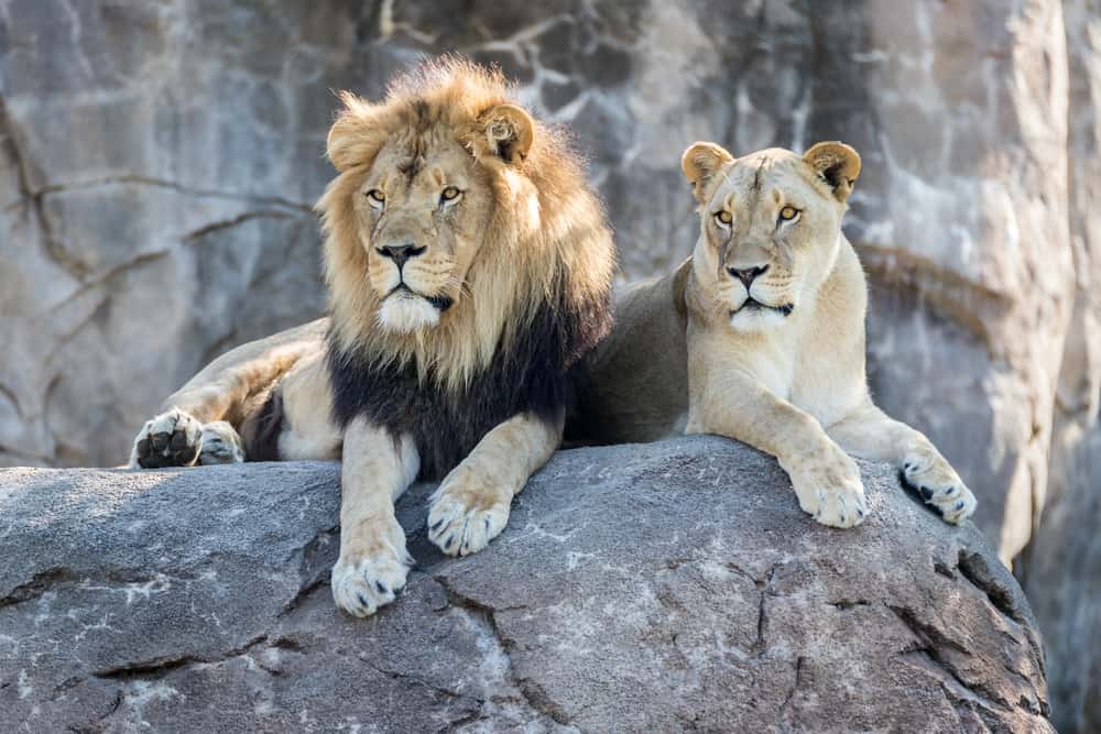 Sedgwick County Zoo