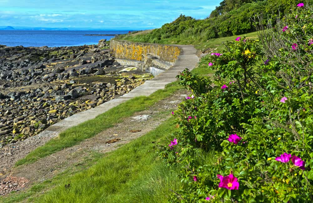Fife Coastal Path
