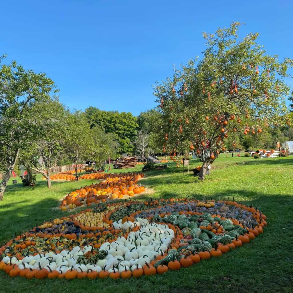 Bemis Farms Nursery