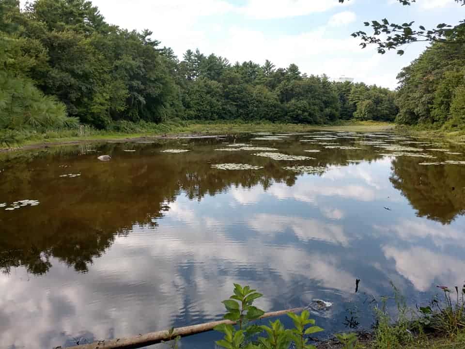 Cranberry Watershed Preserve