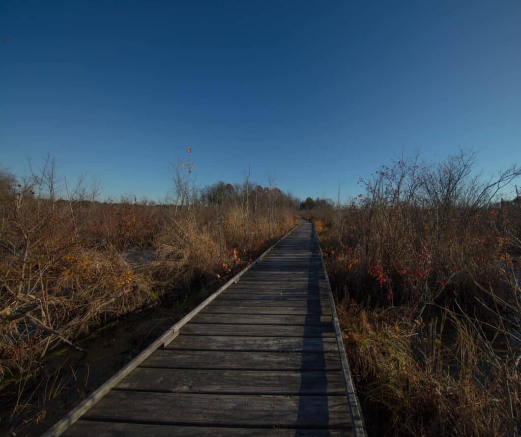 Partridge Island Trail