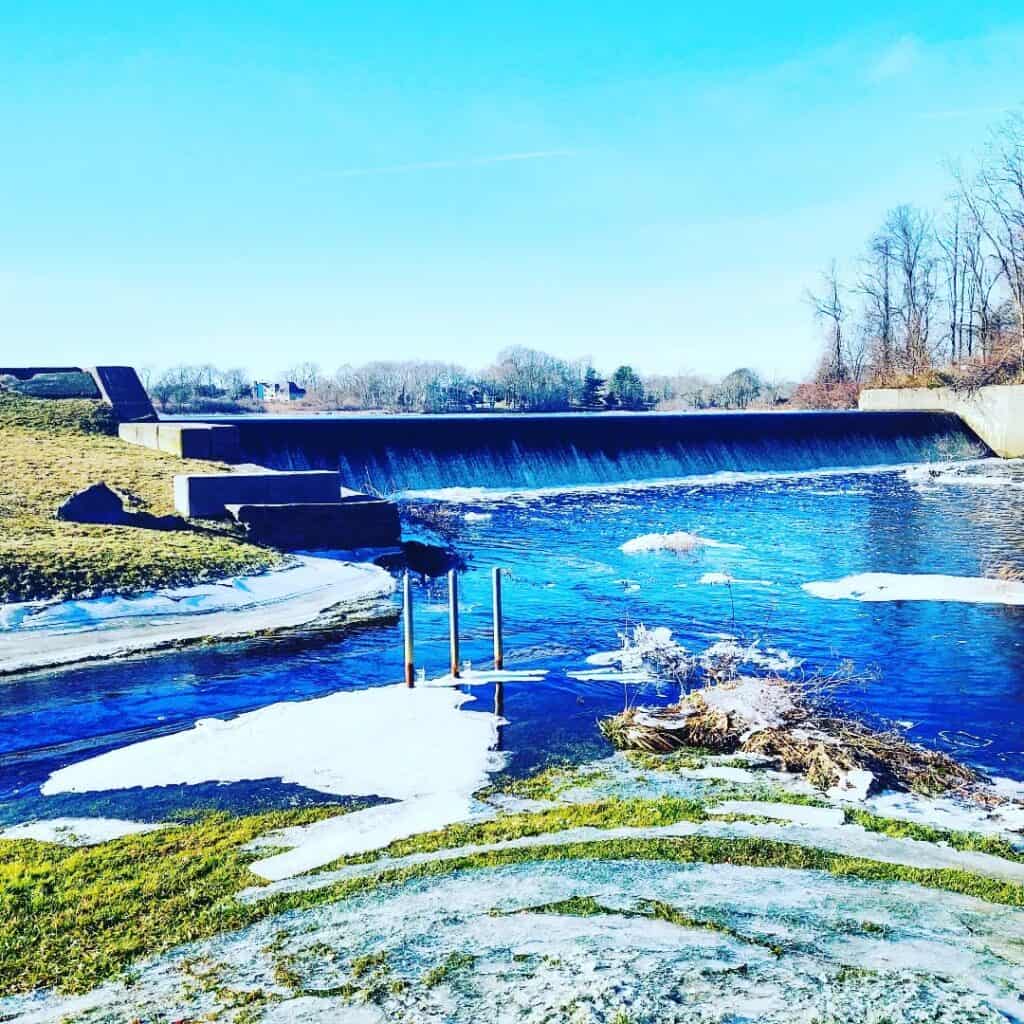 Shad Factory Fish Ladder