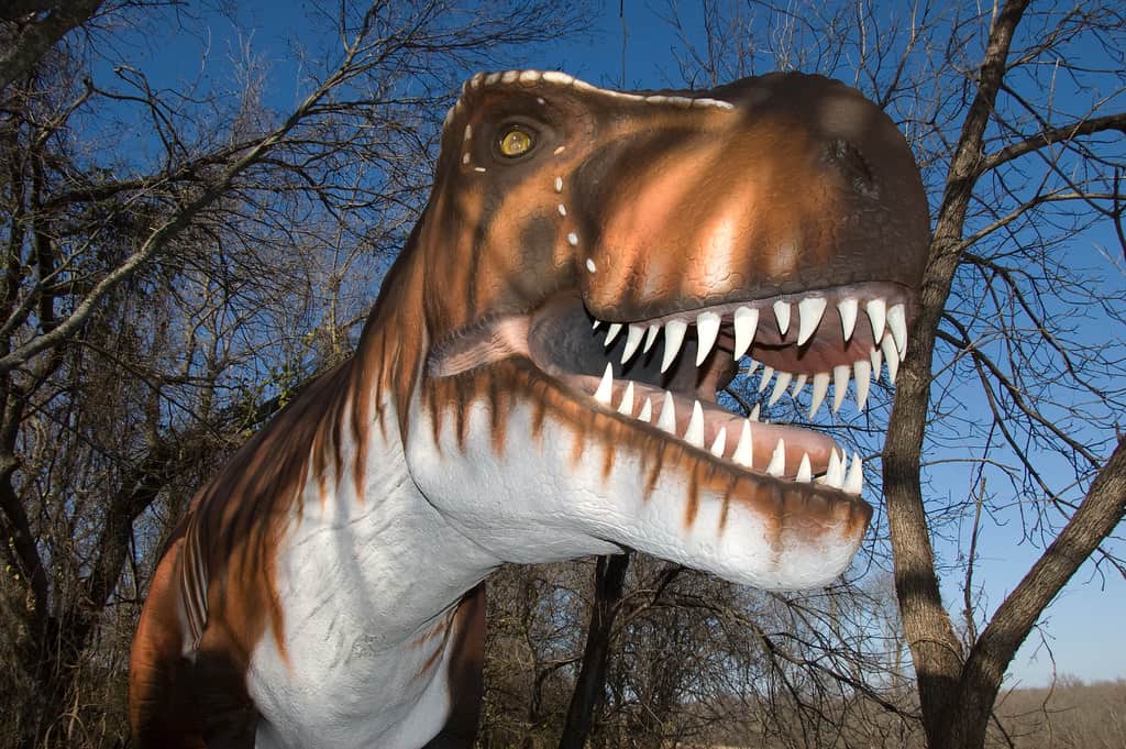 Heard Natural Science Museum & Wildlife Sanctuary