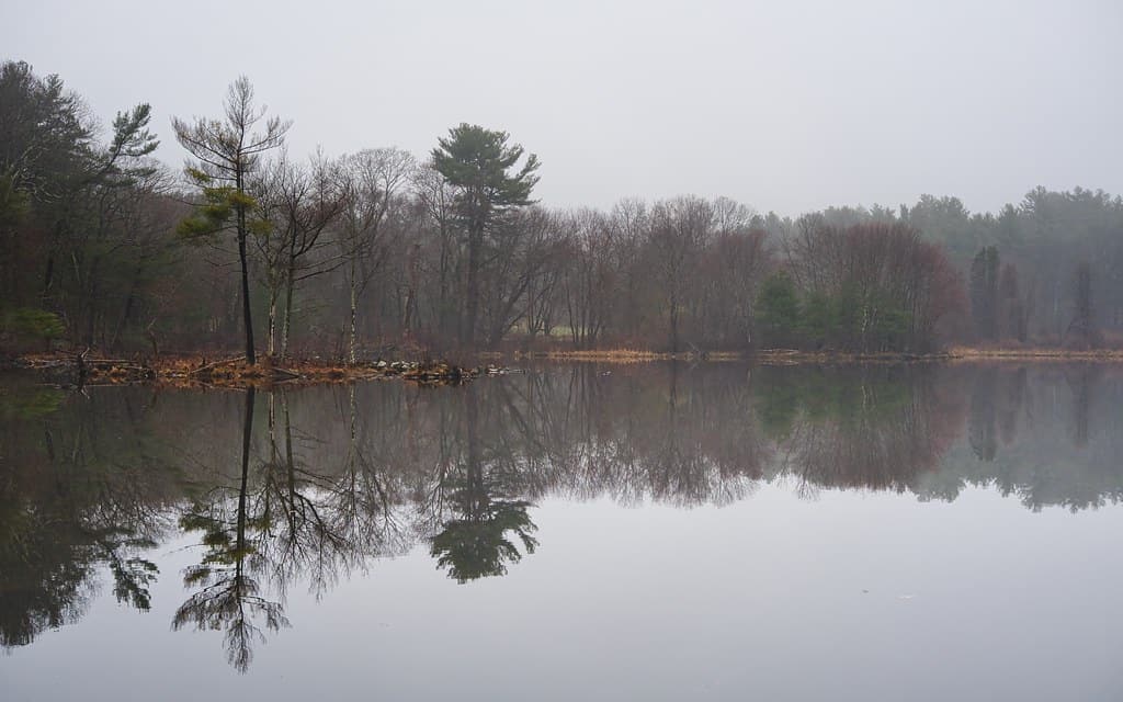 Cat Rock Park