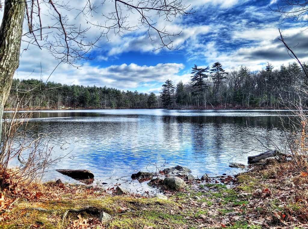 Fawn Lake